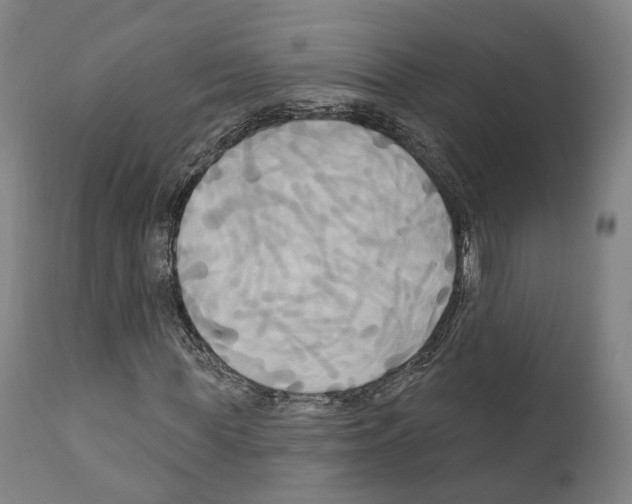 X0000111170819200908121044