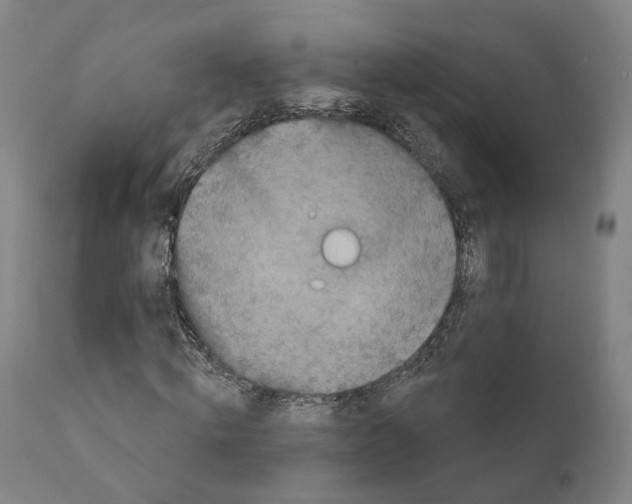 X0000111170820200908121044