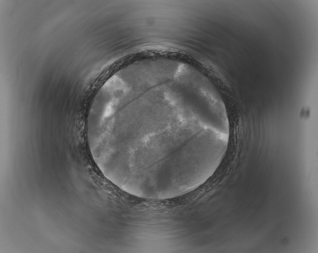 X0000111170822200908121044