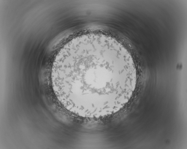 X0000111170824200908121044