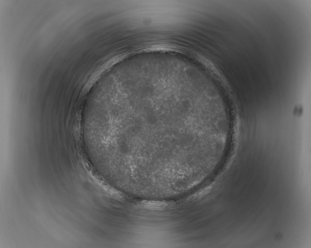 X0000111170825200908121044