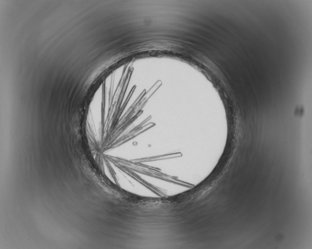 X0000111170826200908121044