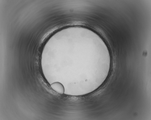 X0000111170827200908121045