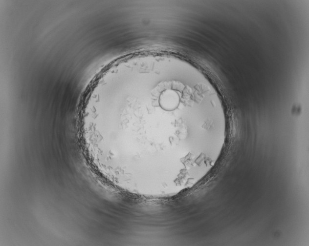 X0000111170828200908121045