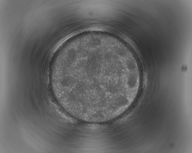 X0000111170829200908121045