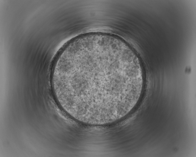 X0000111170830200908121045