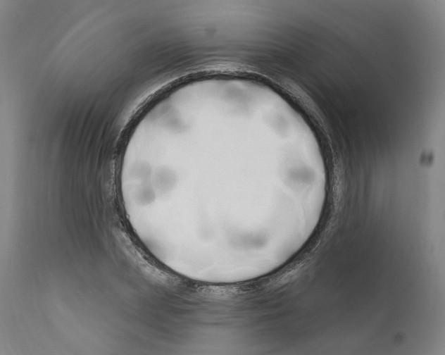 X0000111170831200908121045