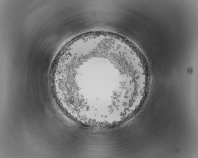 X0000111170832200908121045