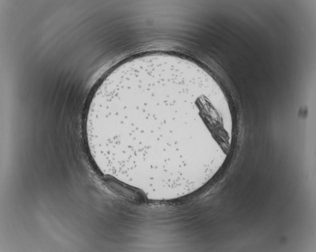 X0000111170834200908121045