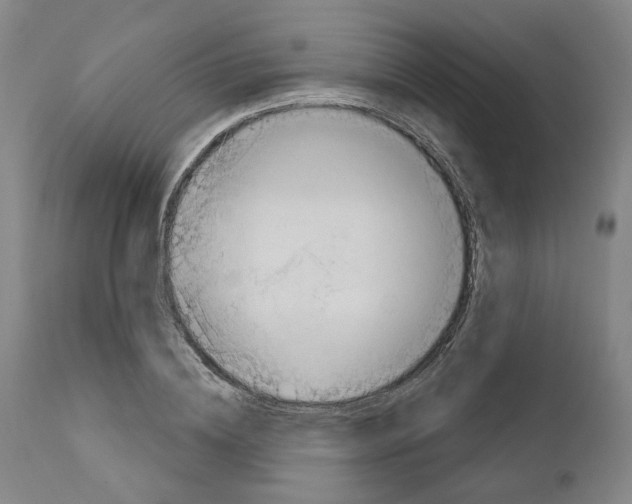 X0000111170836200908121045