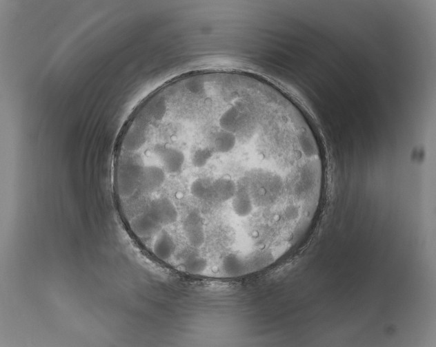 X0000111170839200908121045