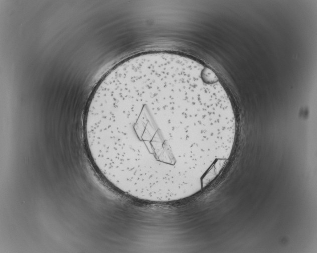 X0000111170842200908121045