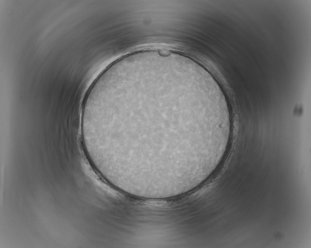 X0000111170844200908121045