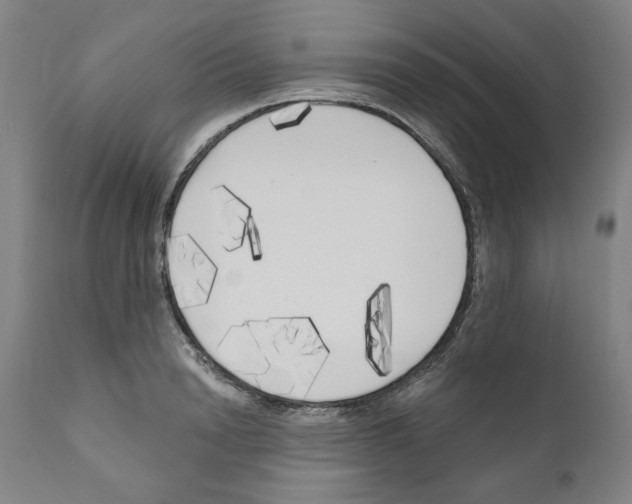 X0000111170846200908121045