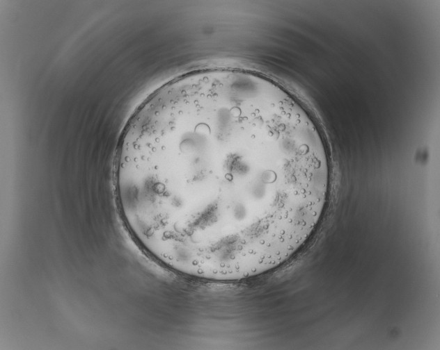 X0000111170847200908121045