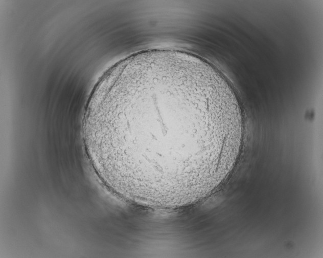 X0000111170848200908121045