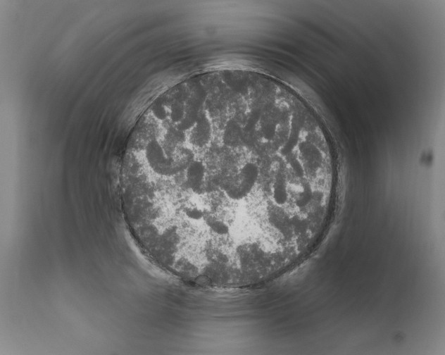 X0000111170849200908121045