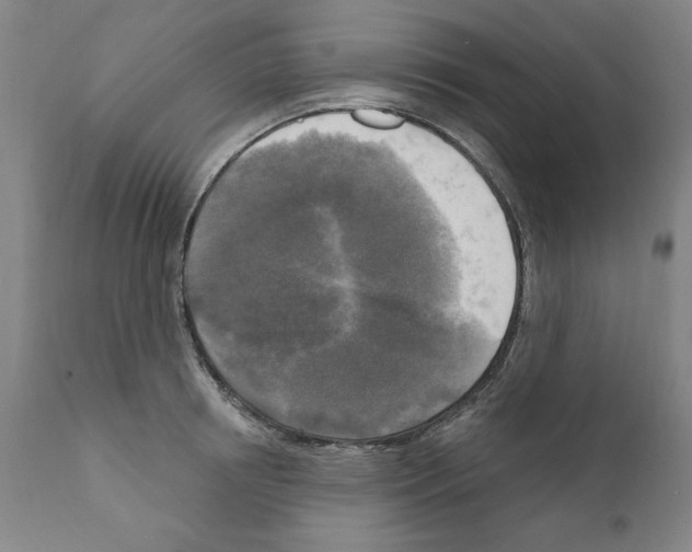 X0000111170850200908121045