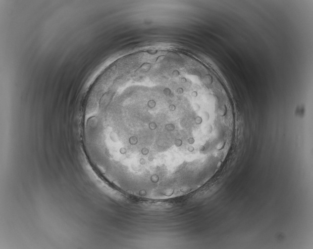 X0000111170851200908121045