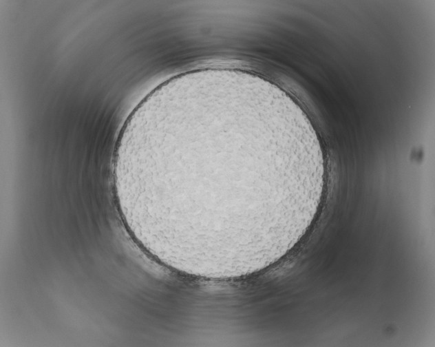 X0000111170852200908121045