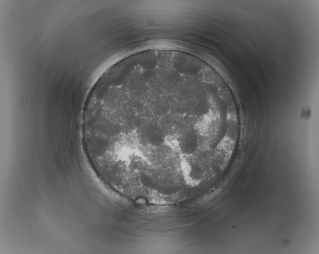 X0000111170853200908121045