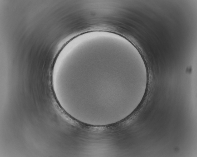 X0000111170854200908121045