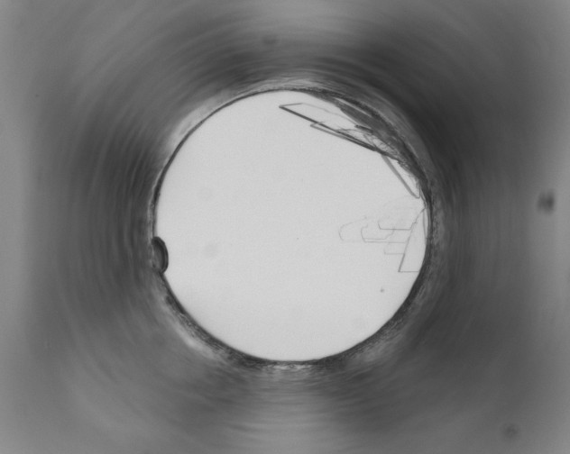 X0000111170858200908121045