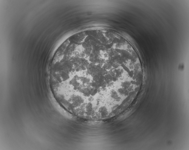 X0000111170859200908121045