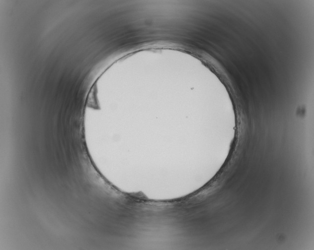 X0000111170860200908121045