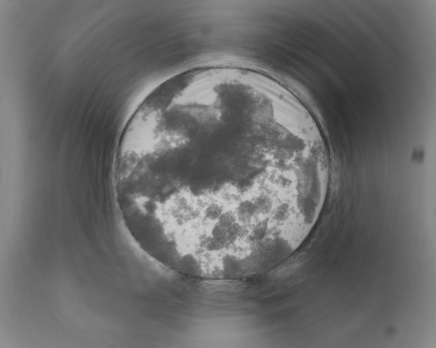 X0000111170863200908121045