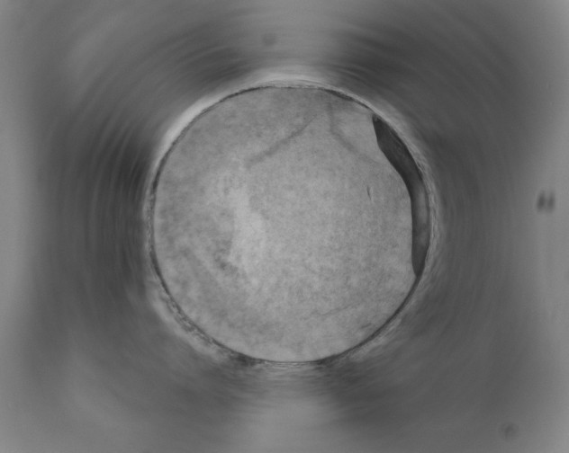 X0000111170864200908121045