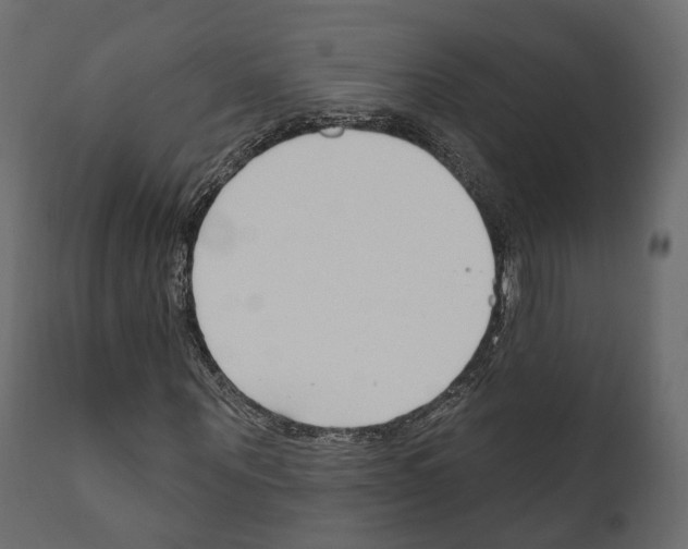 X0000111170867200908121044