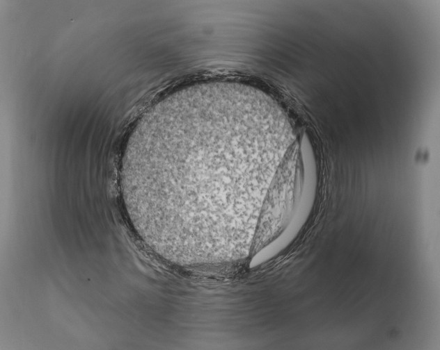 X0000111170868200908121044