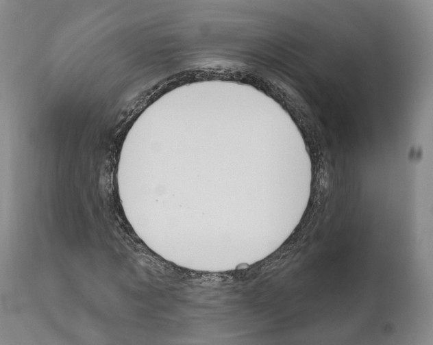 X0000111170869200908121044