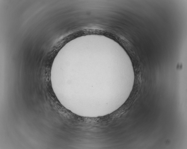 X0000111170870200908121044