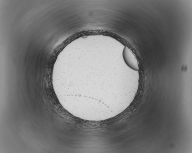 X0000111170871200908121044