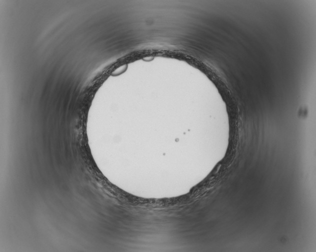 X0000111170872200908121044