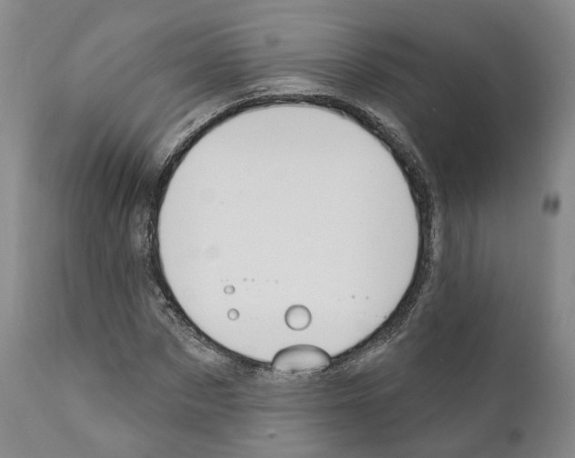 X0000111170873200908121044