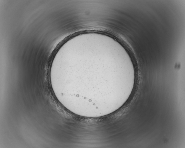 X0000111170875200908121044