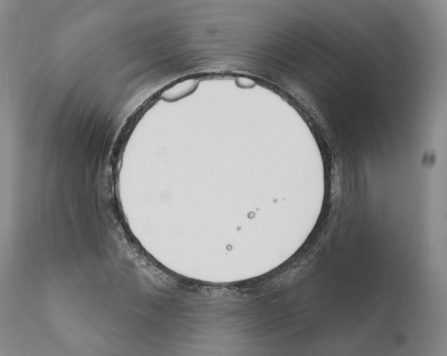 X0000111170876200908121044