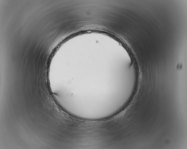 X0000111170877200908121044