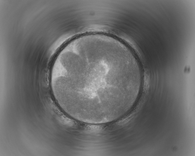 X0000111170878200908121044