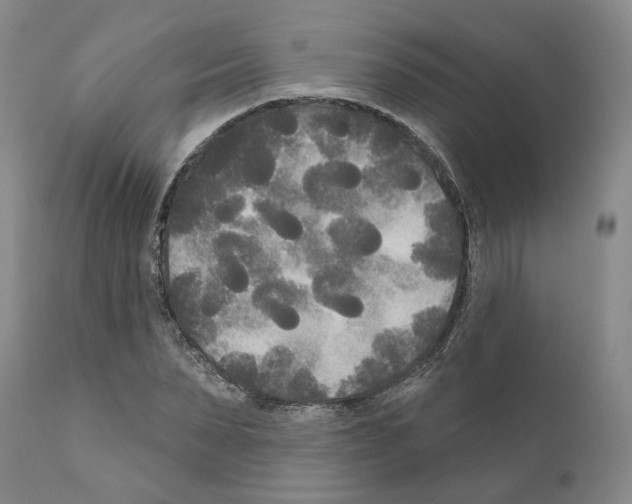 X0000111170879200908121044