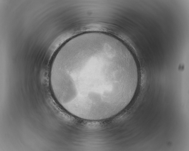 X0000111170882200908121044