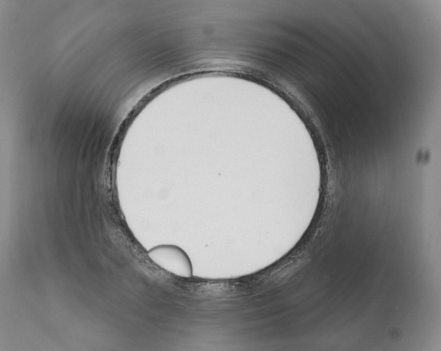 X0000111170883200908121044