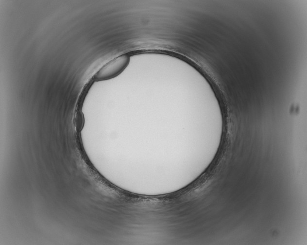 X0000111170885200908121044