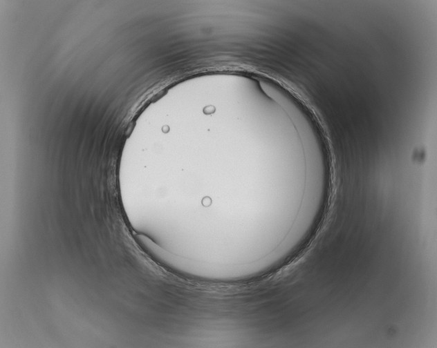 X0000111170889200908121044