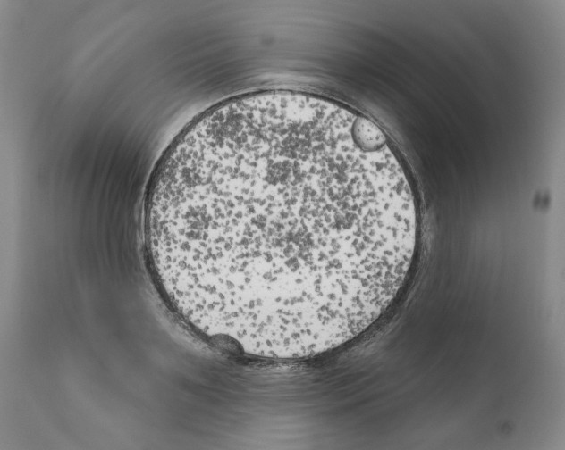 X0000111170891200908121044