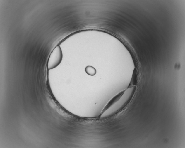 X0000111170892200908121044