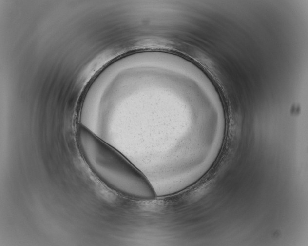 X0000111170893200908121044